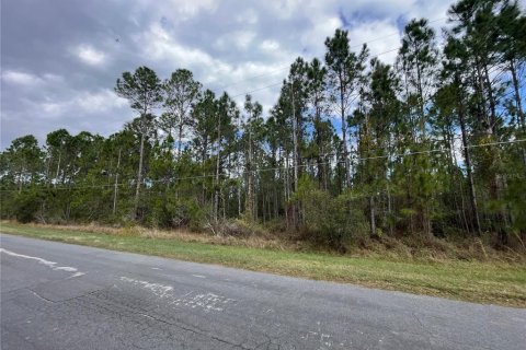 Land in Orlando, Florida № 1906667 - photo 5