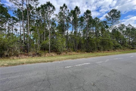Land in Orlando, Florida № 1906667 - photo 2