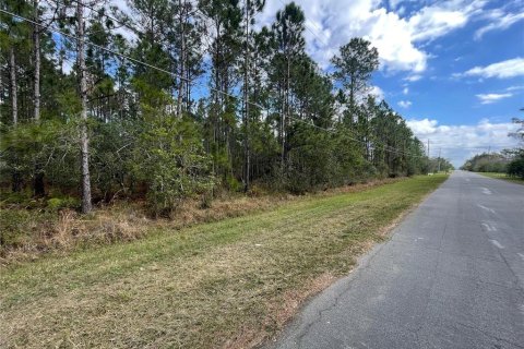Land in Orlando, Florida № 1906667 - photo 3