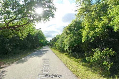 Land in Port Charlotte, Florida № 2233969 - photo 3
