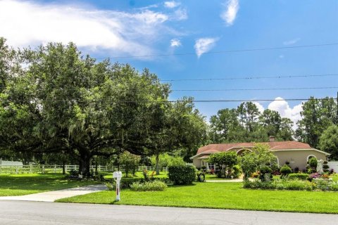 House in Brooksville, Florida 4 bedrooms, 319.77 sq.m. № 1631534 - photo 3