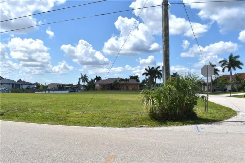 Terrain à vendre à Punta Gorda, Floride № 2147458 - photo 3
