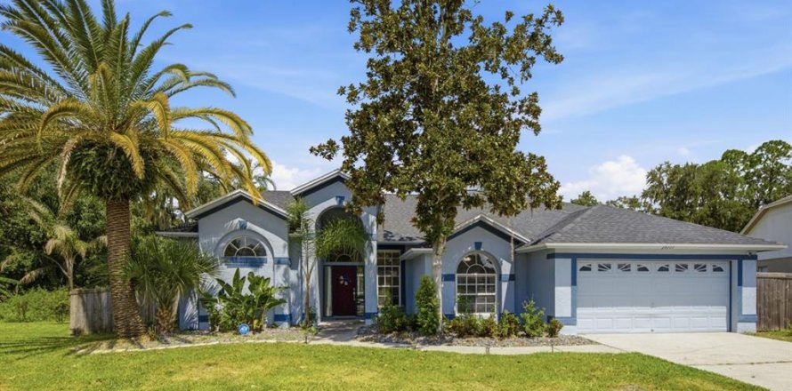House in Wesley Chapel, Florida 4 bedrooms, 205.5 sq.m. № 2306263
