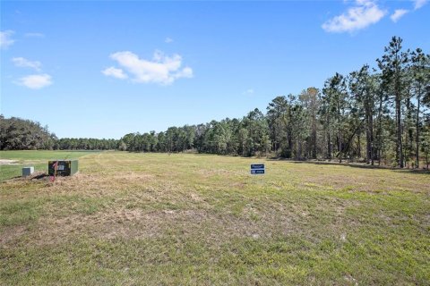 House in Umatilla, Florida 4 bedrooms, 279.64 sq.m. № 2109779 - photo 6