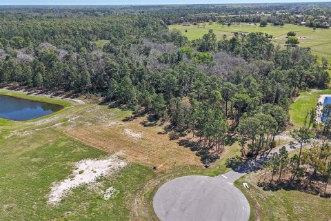 House in Umatilla, Florida 4 bedrooms, 279.64 sq.m. № 2109779 - photo 13