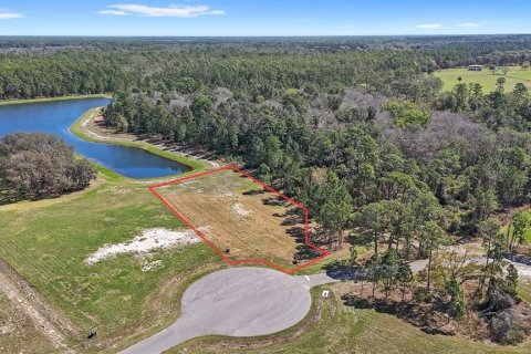 House in Umatilla, Florida 4 bedrooms, 279.64 sq.m. № 2109779 - photo 5