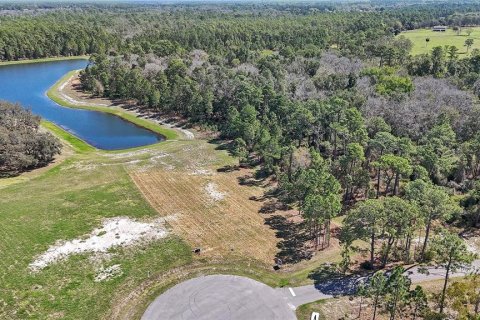 House in Umatilla, Florida 4 bedrooms, 279.64 sq.m. № 2109779 - photo 11