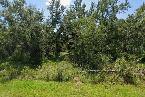 Land in Punta Gorda, Florida № 2164958