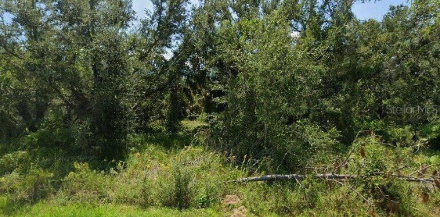 Land in Punta Gorda, Florida № 2164958