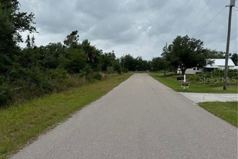 Land in Punta Gorda, Florida № 2164958 - photo 3