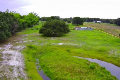 Land in Zolfo Springs, Florida № 1823099 - photo 2