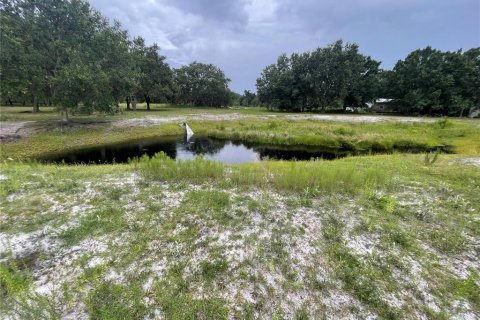 Land in Zolfo Springs, Florida № 1823099 - photo 17