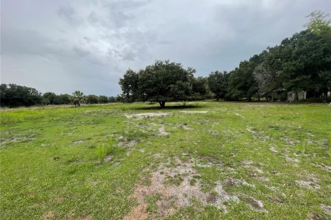 Land in Zolfo Springs, Florida № 1823099 - photo 18