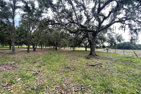 Land in Zolfo Springs, Florida № 1823099 - photo 4