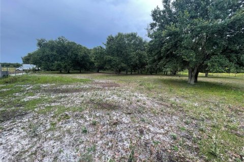 Land in Zolfo Springs, Florida № 1823099 - photo 16