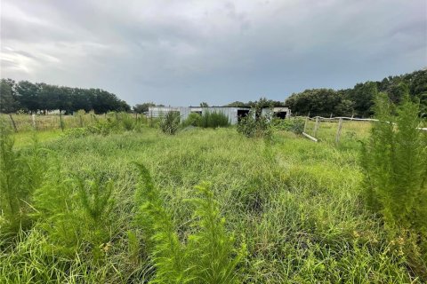 Land in Zolfo Springs, Florida № 1823099 - photo 24