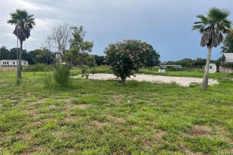 Land in Zolfo Springs, Florida № 1823099 - photo 10