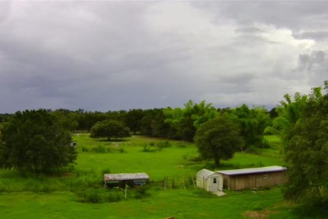 Land in Zolfo Springs, Florida № 1823099 - photo 5