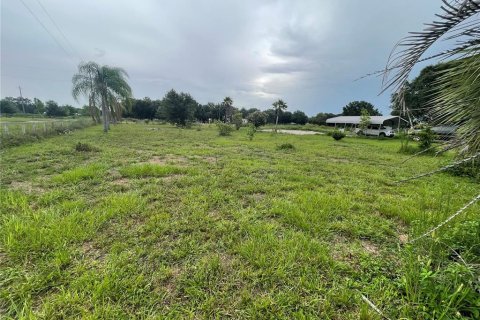 Land in Zolfo Springs, Florida № 1823099 - photo 11