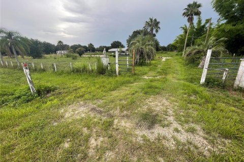 Land in Zolfo Springs, Florida № 1823099 - photo 12