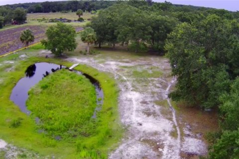 Land in Zolfo Springs, Florida № 1823099 - photo 6