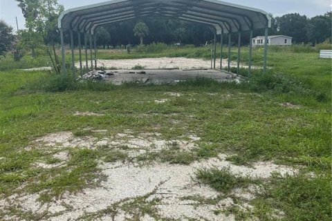 Land in Zolfo Springs, Florida № 1823099 - photo 9