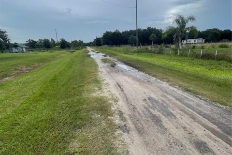 Land in Zolfo Springs, Florida № 1823099 - photo 3