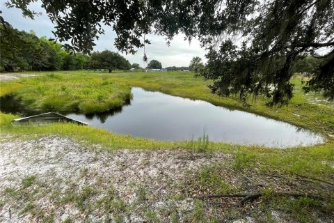 Land in Zolfo Springs, Florida № 1823099 - photo 25