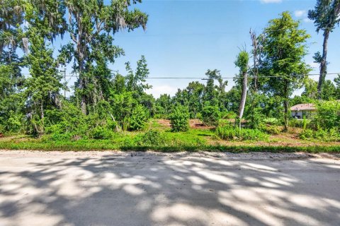 Terrain à Dade City, Floride № 2167483