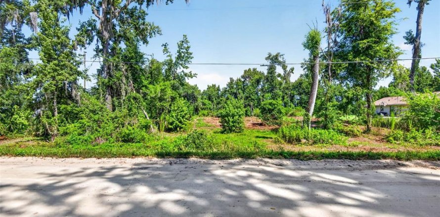 Terrain à Dade City, Floride № 2167483
