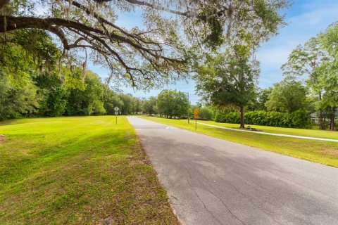 Land in Gainesville, Florida № 1509079 - photo 10