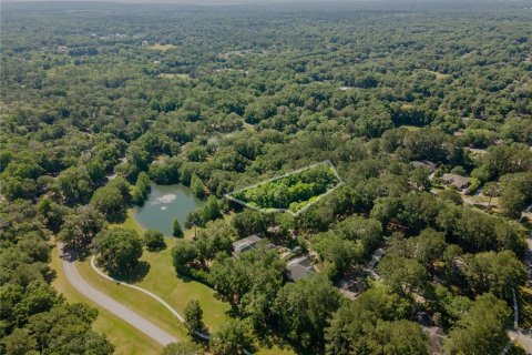 Land in Gainesville, Florida № 1509079 - photo 18