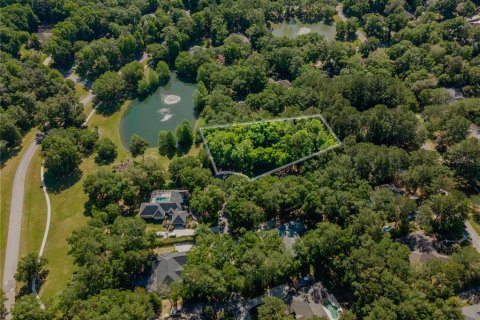 Land in Gainesville, Florida № 1509079 - photo 7