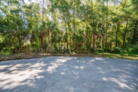 Land in Gainesville, Florida № 1509079 - photo 2