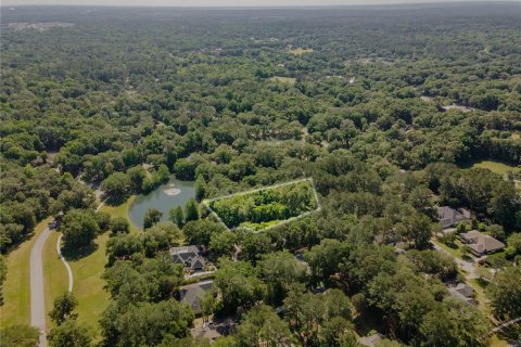 Land in Gainesville, Florida № 1509079 - photo 8
