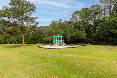 Land in Gainesville, Florida № 1509079 - photo 11