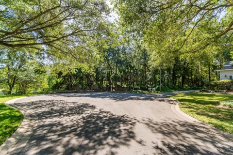 Land in Gainesville, Florida № 1509079 - photo 3