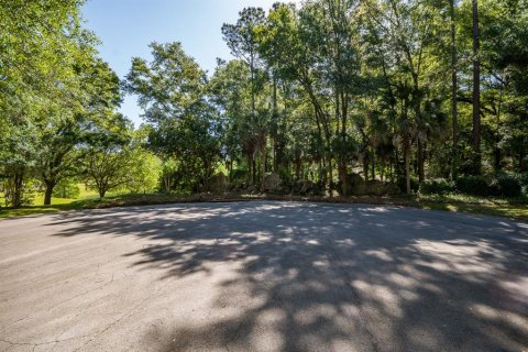Land in Gainesville, Florida № 1509079 - photo 1