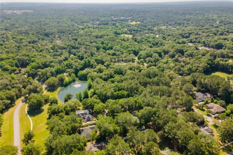 Land in Gainesville, Florida № 1509079 - photo 17