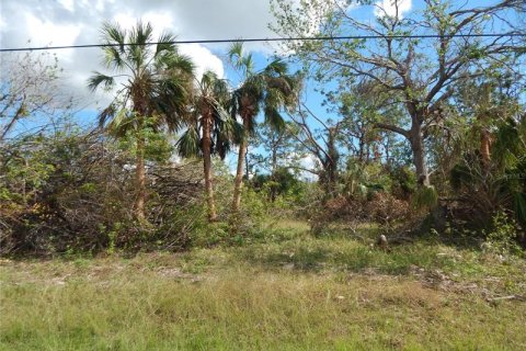 Land in Port Charlotte, Florida № 242217 - photo 1