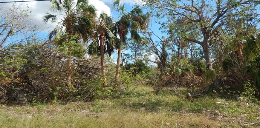 Land in Port Charlotte, Florida № 242217