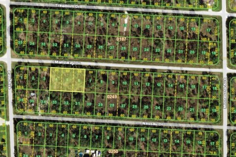 Terrain à Punta Gorda, Floride № 2161486