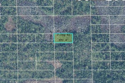 Land in Orlando, Florida № 2163935 - photo 2