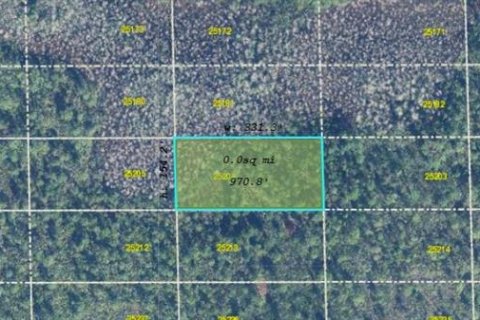 Land in Orlando, Florida № 2163935 - photo 3