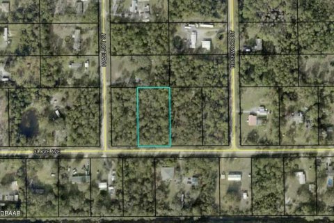 Land in Bunnell, Florida № 2213044 - photo 6