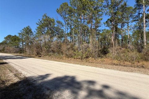 Land in Bunnell, Florida № 2213044 - photo 2