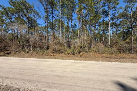 Land in Bunnell, Florida № 2213044 - photo 4