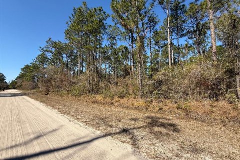 Land in Bunnell, Florida № 2213044 - photo 5