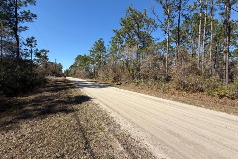 Land in Bunnell, Florida № 2213044 - photo 3