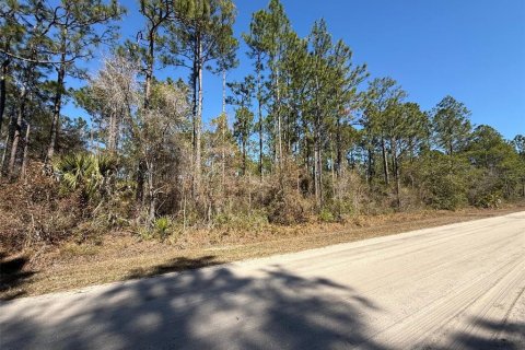 Land in Bunnell, Florida № 2213044